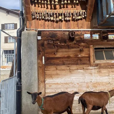 Tga Curver 5 公寓 堪特